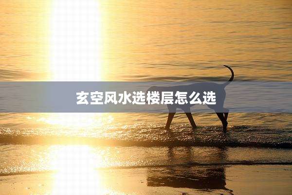 玄空风水选楼层怎么选