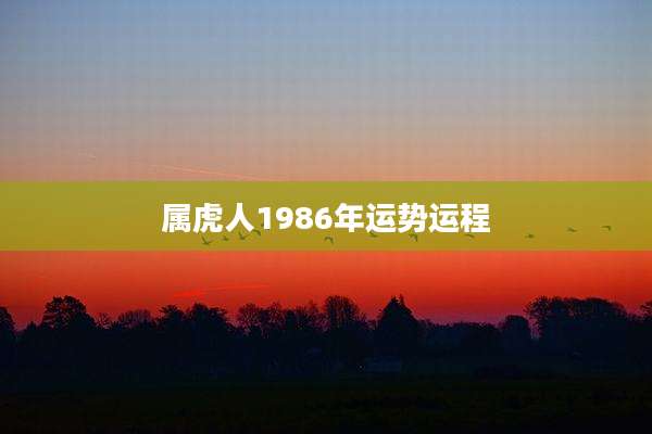 属虎人1986年运势运程