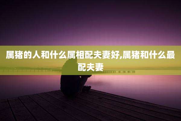 属猪的人和什么属相配夫妻好,属猪和什么最配夫妻