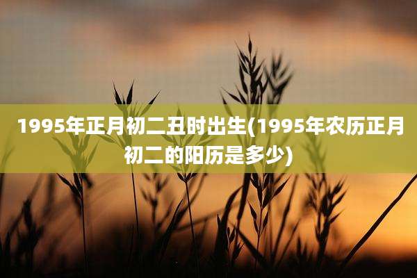 1995年正月初二丑时出生(1995年农历正月初二的阳历是多少)