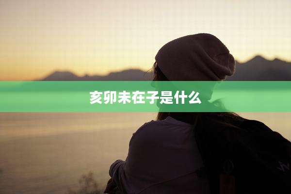 亥卯未在子是什么