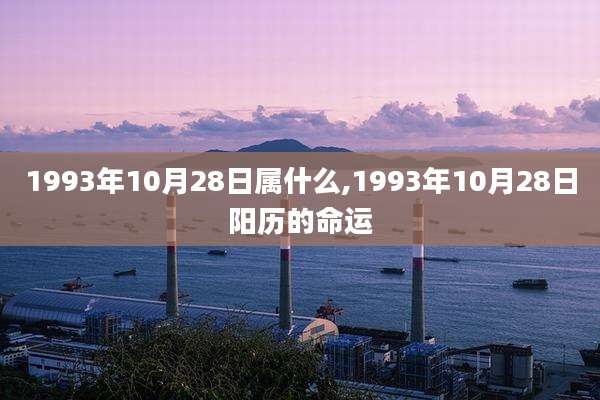 1993年10月28日属什么,1993年10月28日阳历的命运