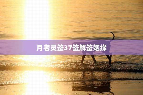 月老灵签37签解签姻缘
