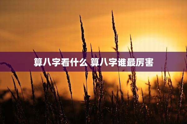 算八字看什么 算八字谁最厉害
