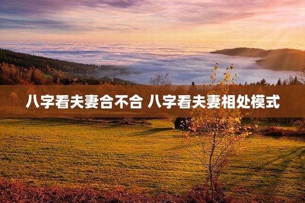 八字看夫妻合不合 八字看夫妻相处模式