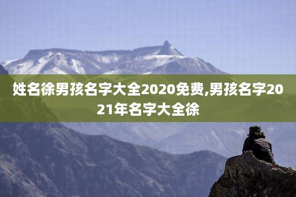 姓名徐男孩名字大全2020免费,男孩名字2021年名字大全徐