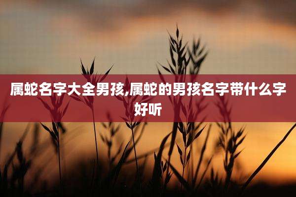 属蛇名字大全男孩,属蛇的男孩名字带什么字好听