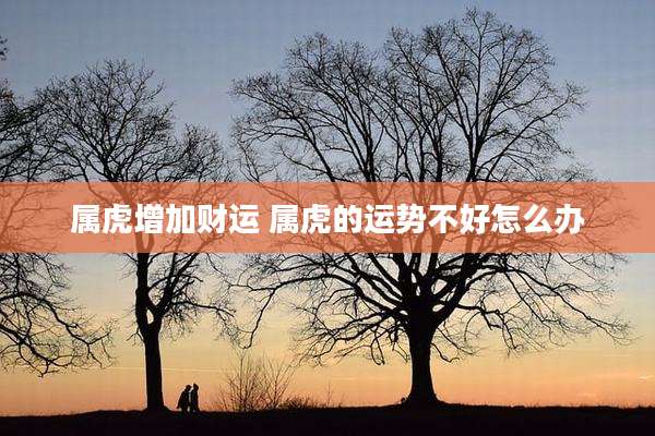 属虎增加财运 属虎的运势不好怎么办