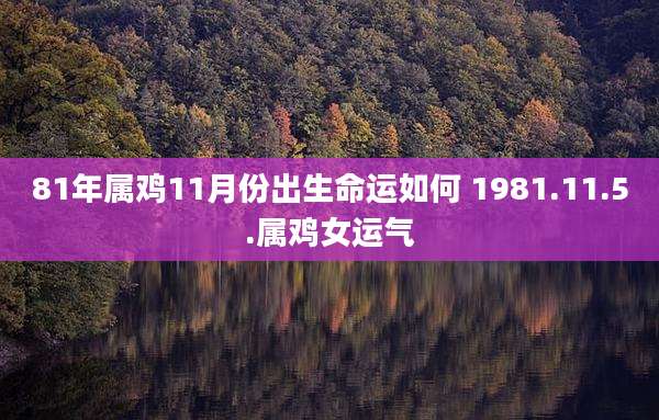 81年属鸡11月份出生命运如何 1981.11.5.属鸡女运气