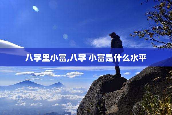八字里小富,八字 小富是什么水平