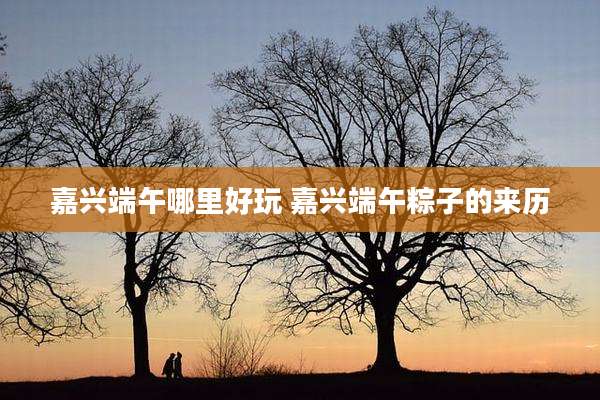 嘉兴端午哪里好玩 嘉兴端午粽子的来历
