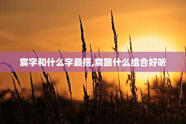 宸字和什么字最搭,宸跟什么组合好听