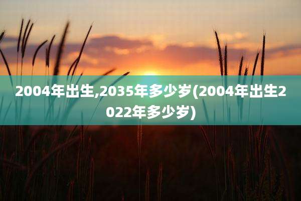 2004年出生,2035年多少岁(2004年出生2022年多少岁)