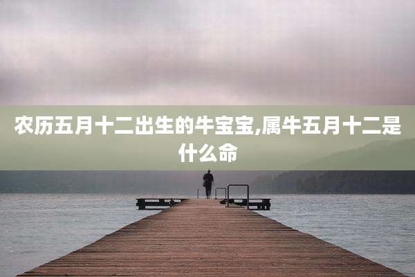 农历五月十二出生的牛宝宝,属牛五月十二是什么命