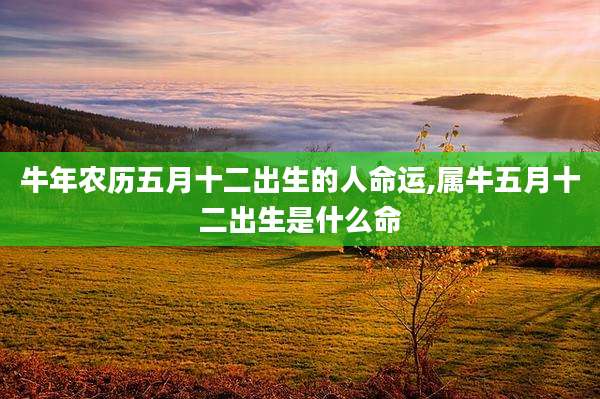 牛年农历五月十二出生的人命运,属牛五月十二出生是什么命