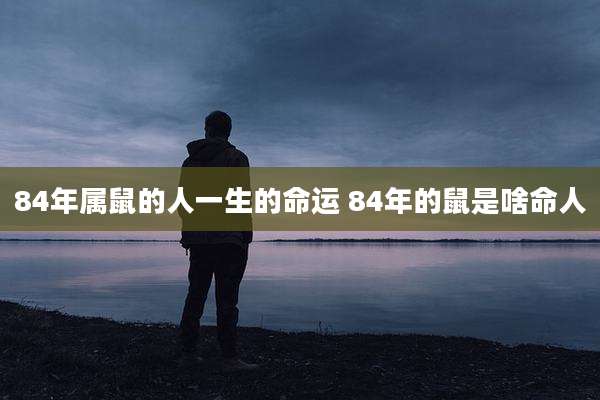 84年属鼠的人一生的命运 84年的鼠是啥命人