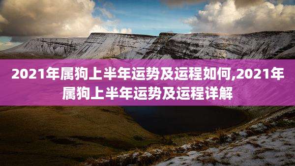 2021年属狗上半年运势及运程如何,2021年属狗上半年运势及运程详解