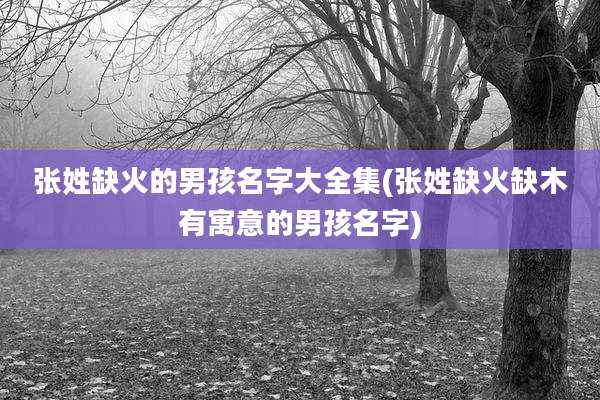 张姓缺火的男孩名字大全集(张姓缺火缺木有寓意的男孩名字)