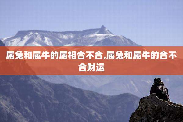 属兔和属牛的属相合不合,属兔和属牛的合不合财运