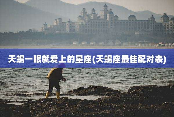 天蝎一眼就爱上的星座(天蝎座最佳配对表)