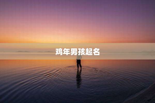鸡年男孩起名