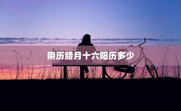 阴历腊月十六阳历多少