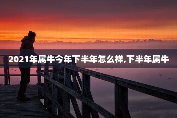 2021年属牛今年下半年怎么样,下半年属牛