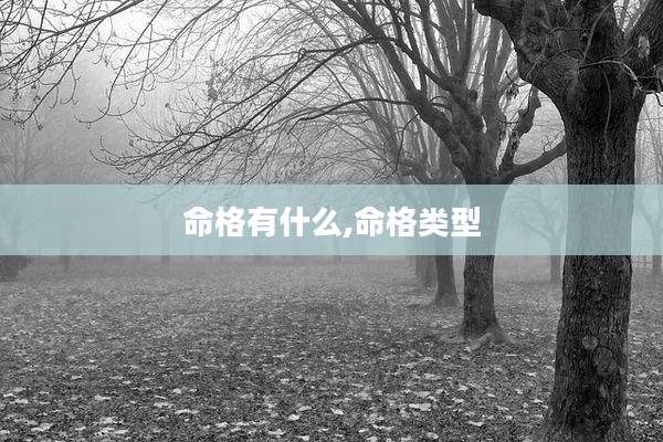 命格有什么,命格类型