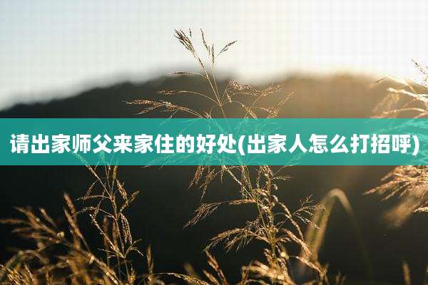 请出家师父来家住的好处(出家人怎么打招呼)