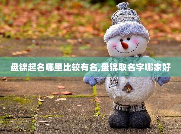 盘锦起名哪里比较有名,盘锦取名字哪家好
