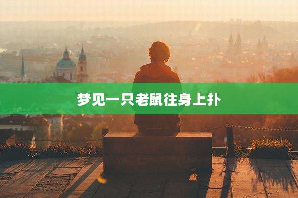 梦见一只老鼠往身上扑