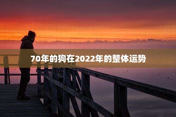 70年的狗在2022年的整体运势