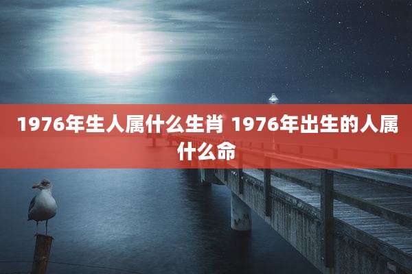 1976年生人属什么生肖 1976年出生的人属什么命