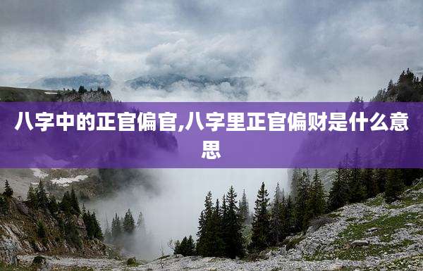 八字中的正官偏官,八字里正官偏财是什么意思