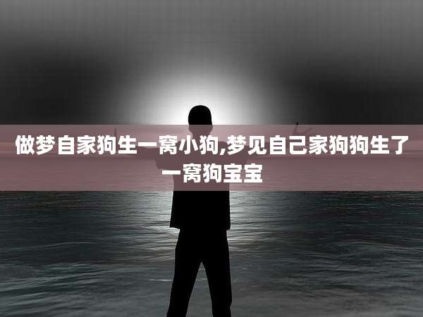 做梦自家狗生一窝小狗,梦见自己家狗狗生了一窝狗宝宝