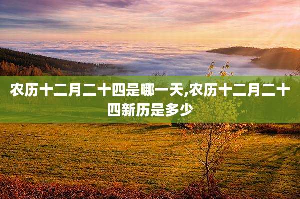 农历十二月二十四是哪一天,农历十二月二十四新历是多少