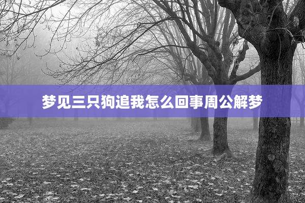 梦见三只狗追我怎么回事周公解梦