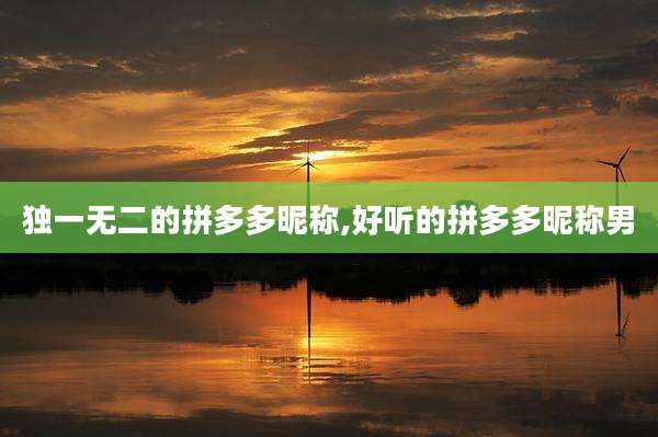 独一无二的拼多多昵称,好听的拼多多昵称男