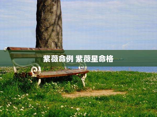 紫薇命例 紫薇星命格