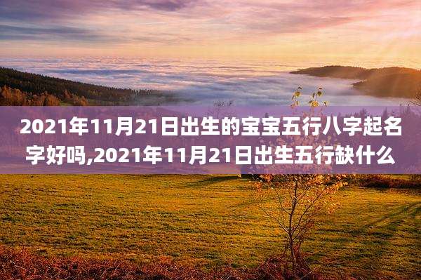 2021年11月21日出生的宝宝五行八字起名字好吗,2021年11月21日出生五行缺什么