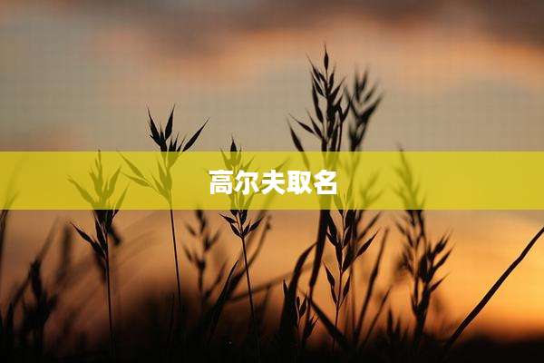 高尔夫取名