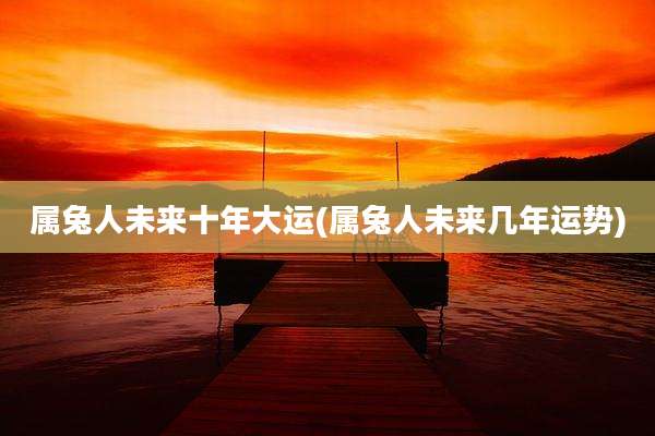 属兔人未来十年大运(属兔人未来几年运势)