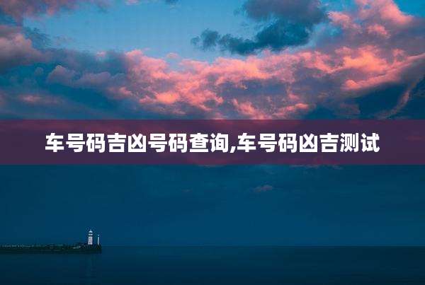 车号码吉凶号码查询,车号码凶吉测试