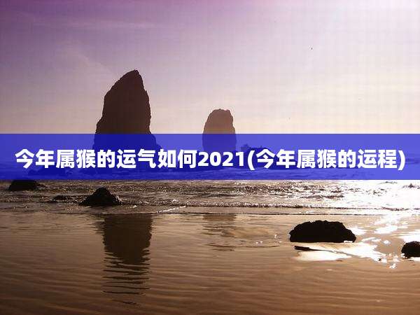 今年属猴的运气如何2021(今年属猴的运程)