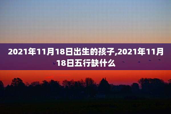 2021年11月18日出生的孩子,2021年11月18日五行缺什么