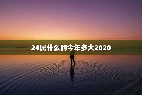 24属什么的今年多大2020
