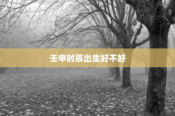 壬申时辰出生好不好