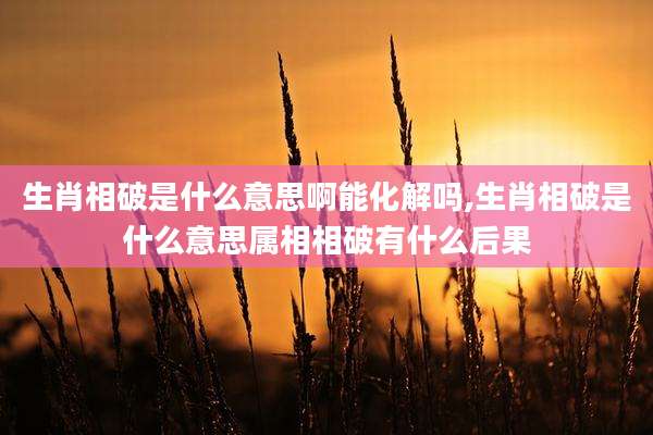 生肖相破是什么意思啊能化解吗,生肖相破是什么意思属相相破有什么后果