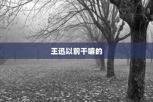 王迅以前干嘛的