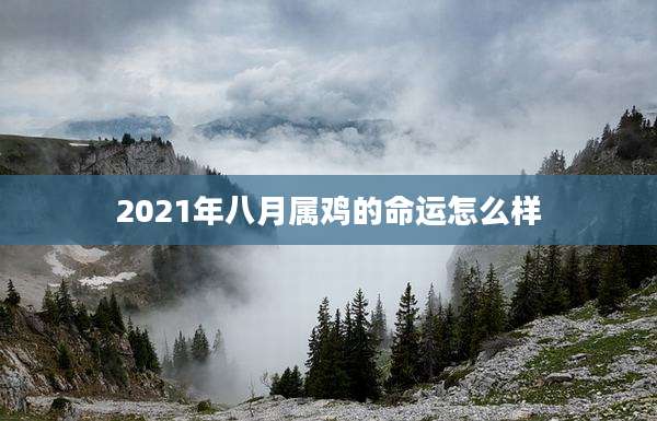 2021年八月属鸡的命运怎么样